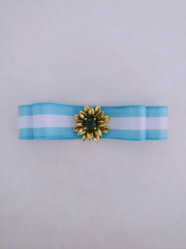 Escarapela Sol en Flor