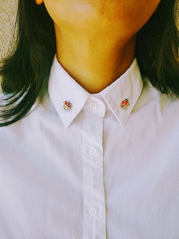 Paire de Coccinelle 3