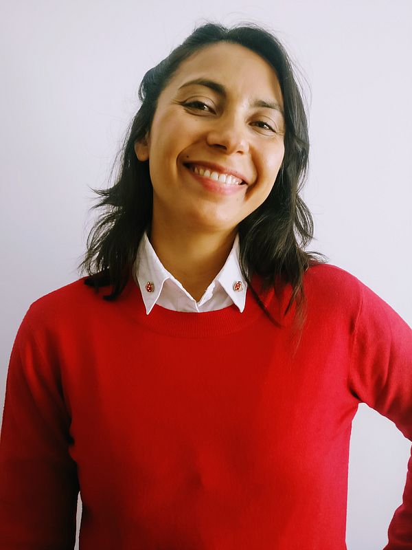 Paire de Coccinelle 1